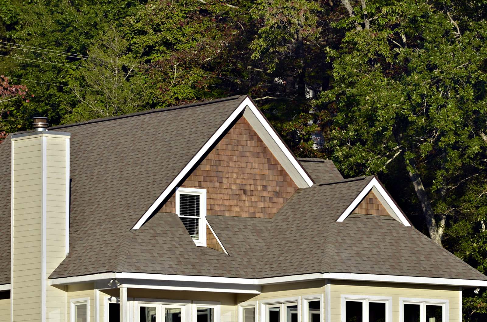 Close-up of a house roof with brown shingles, a chimney, and a dormer window, set against a background of dense green trees.